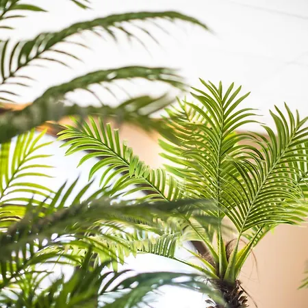 Le Rioumajou 1 - Grand T6 - Piscine - Centre St Lary Apartamento *